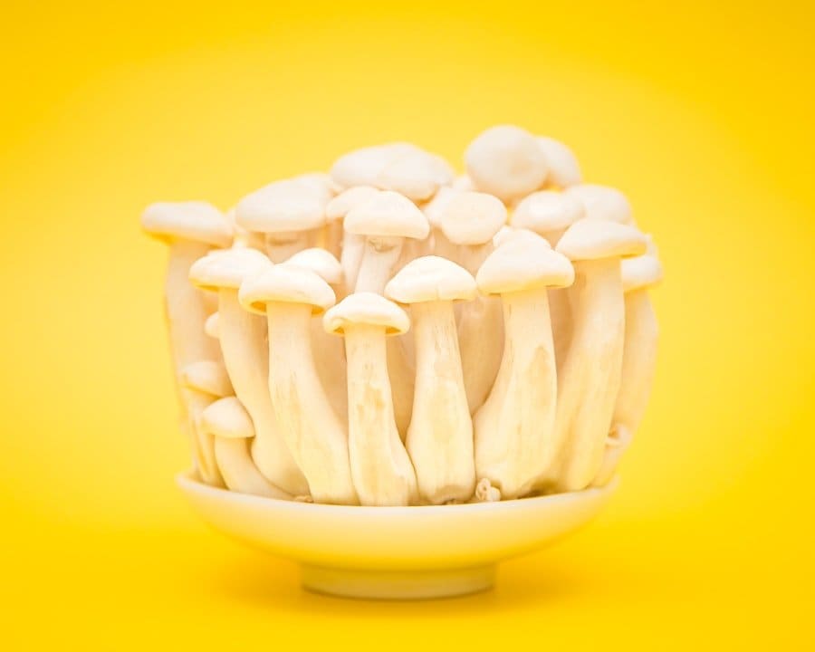 Der Food Fotograf - Eine Gruppe weißer Champignons ist in einer kleinen weißen Schale vor einem leuchtend gelben Hintergrund angeordnet.