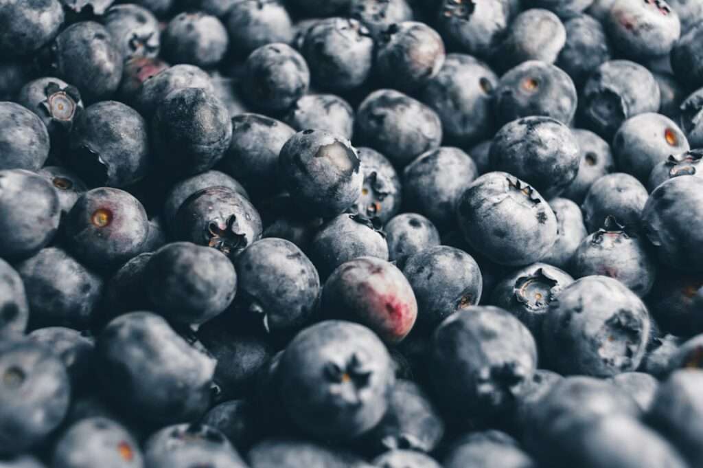 Eine Nahaufnahme zahlreicher frischer Blaubeeren, die ihren natürlichen blau-violetten Farbton und ihre unterschiedlichen Größen zeigen.