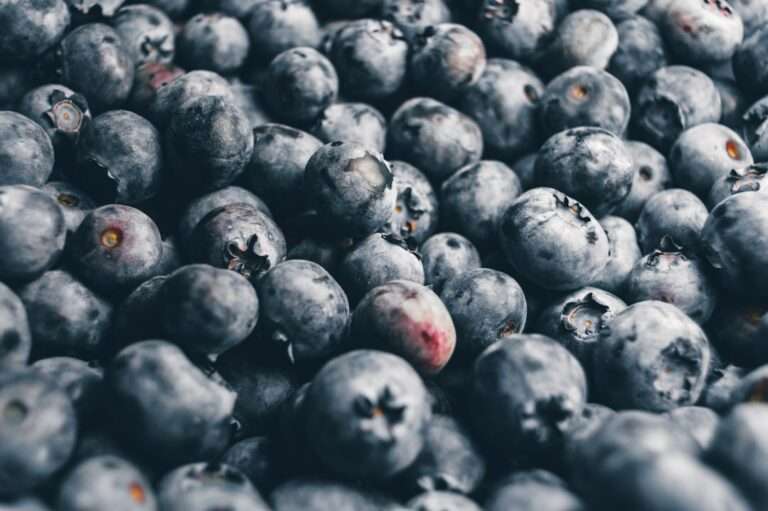 Eine Nahaufnahme zahlreicher frischer Blaubeeren, die ihren natürlichen blau-violetten Farbton und ihre unterschiedlichen Größen zeigen.