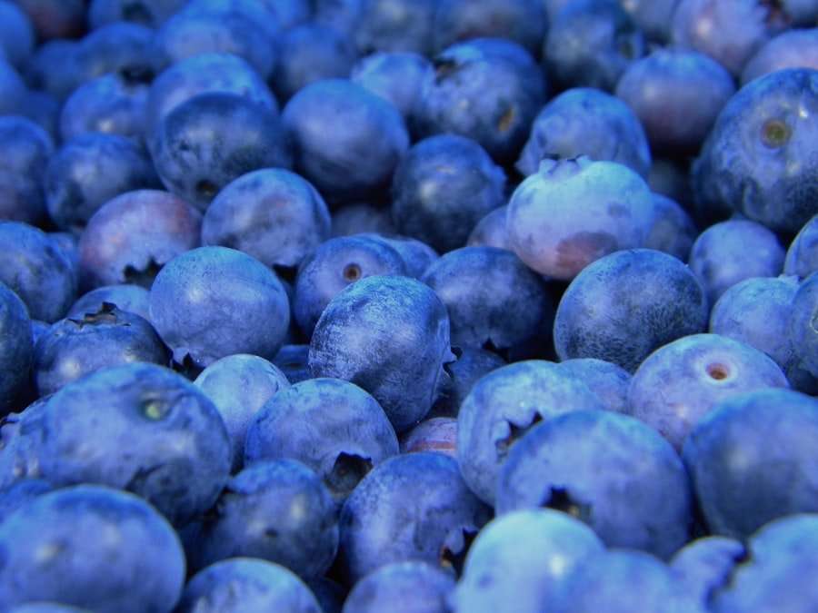 Eine Nahaufnahme eines Stapels frischer, reifer Blaubeeren.